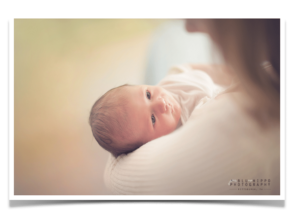 Newborn Baby Girl makes 5 {Newborn Photography Pittsburgh} Pittsburgh