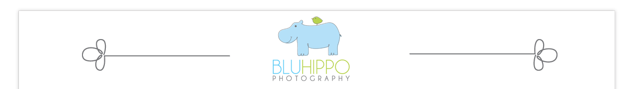Blu Hippo Photography logo