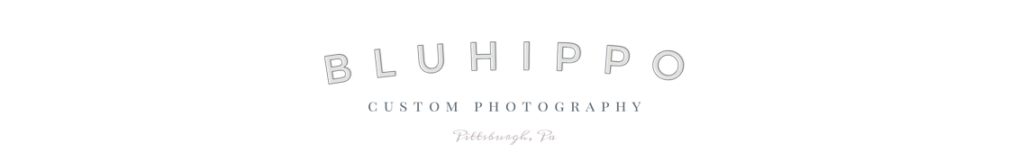 Blu Hippo Photography logo